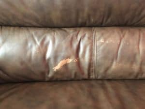 A stain in the sofa
