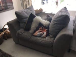 A bouncy sofa with pillows on it